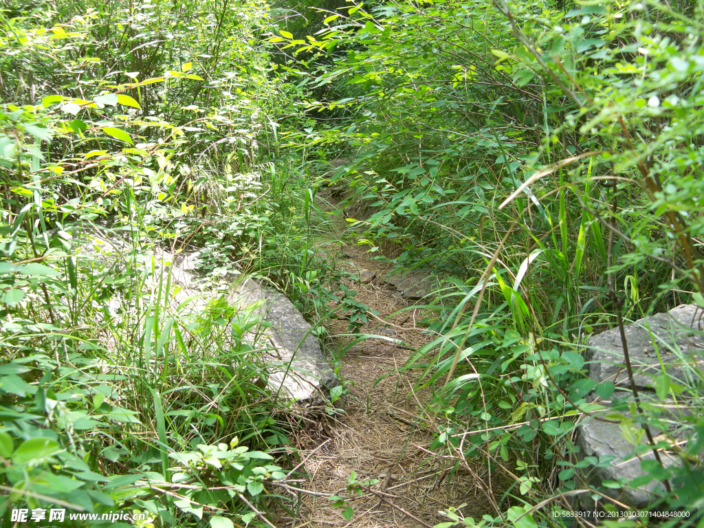 山路