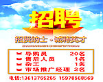招聘广告