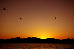 大海夕阳