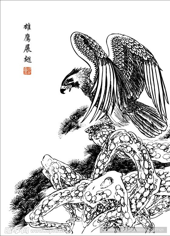 鹰白描