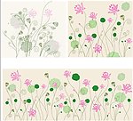 荷花莲蓬
