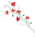 花纹