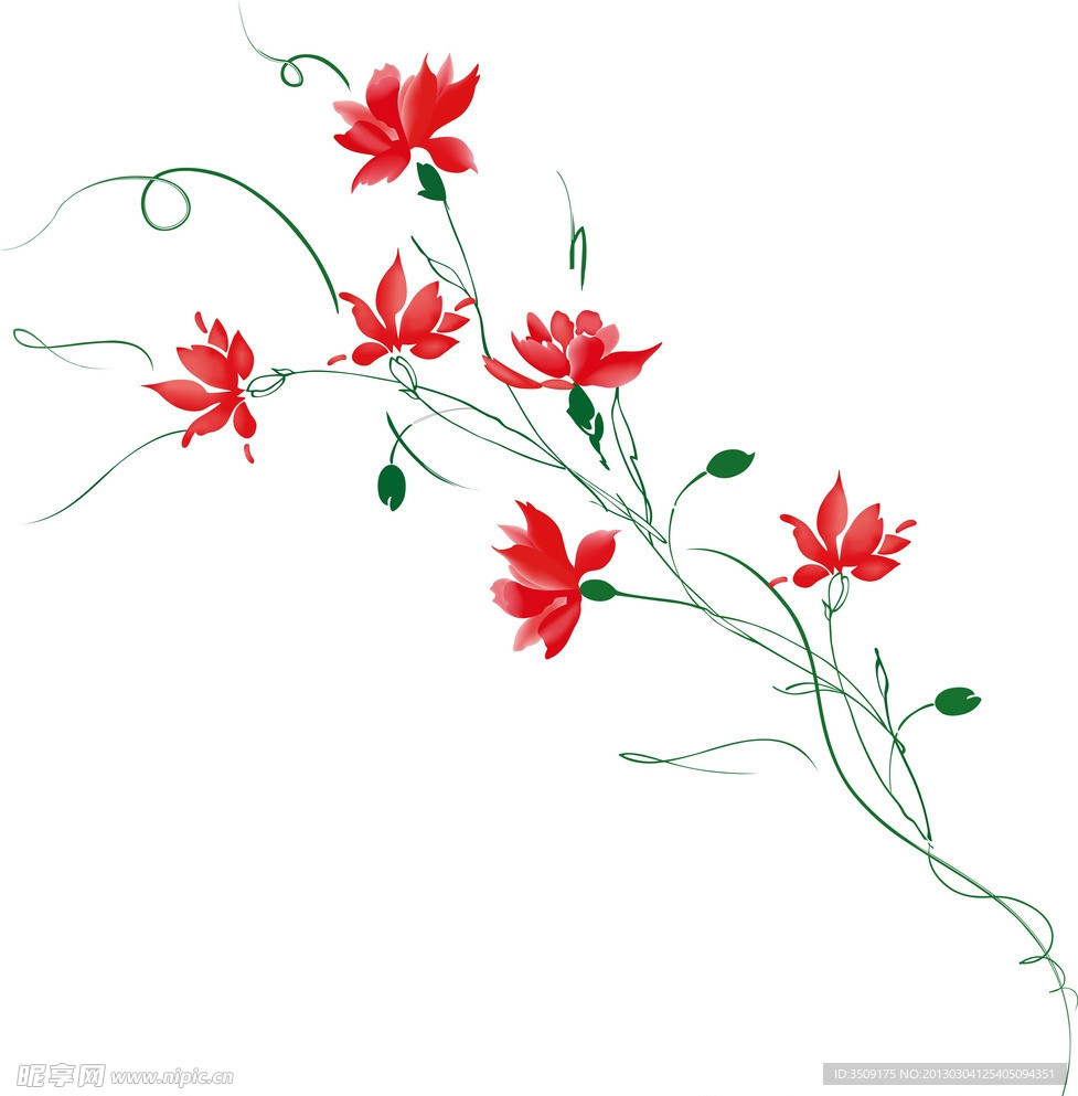 花纹