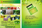 旅行社 3 8 VIP卡 DM