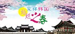 花样韩国 灿烂之春