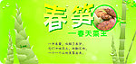 春笋