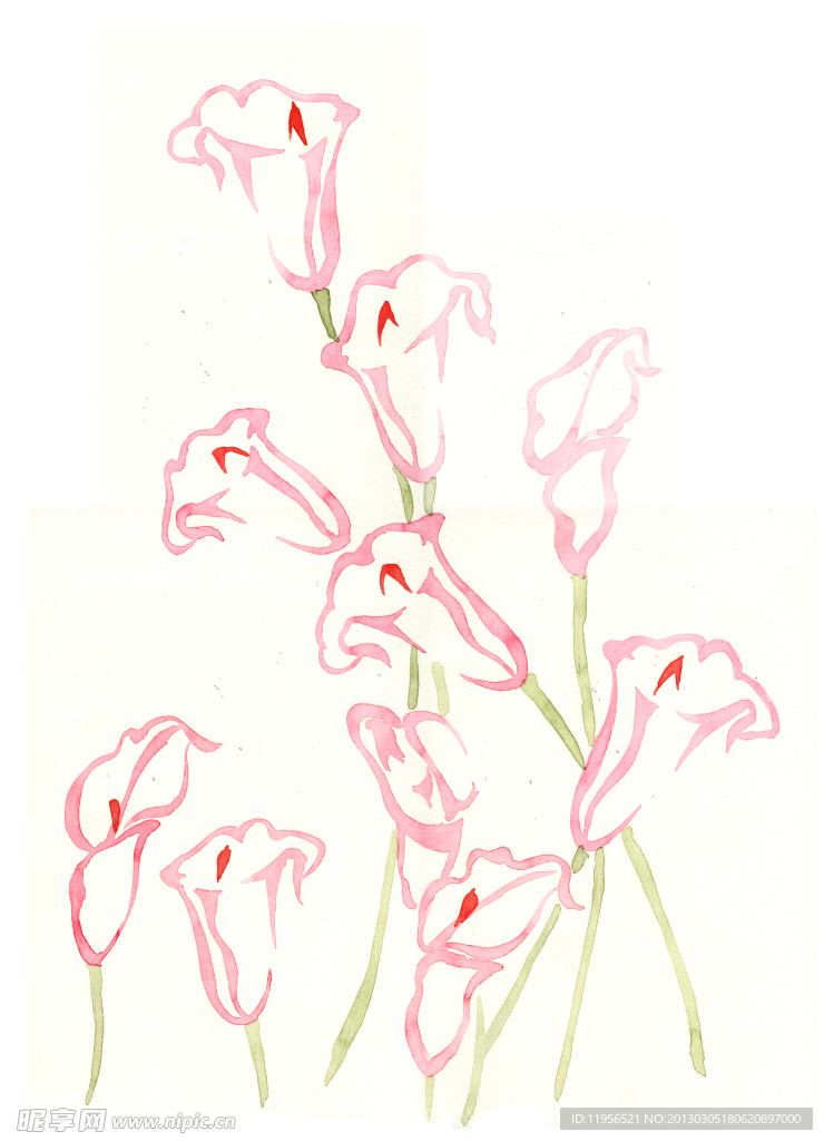 手绘花卉