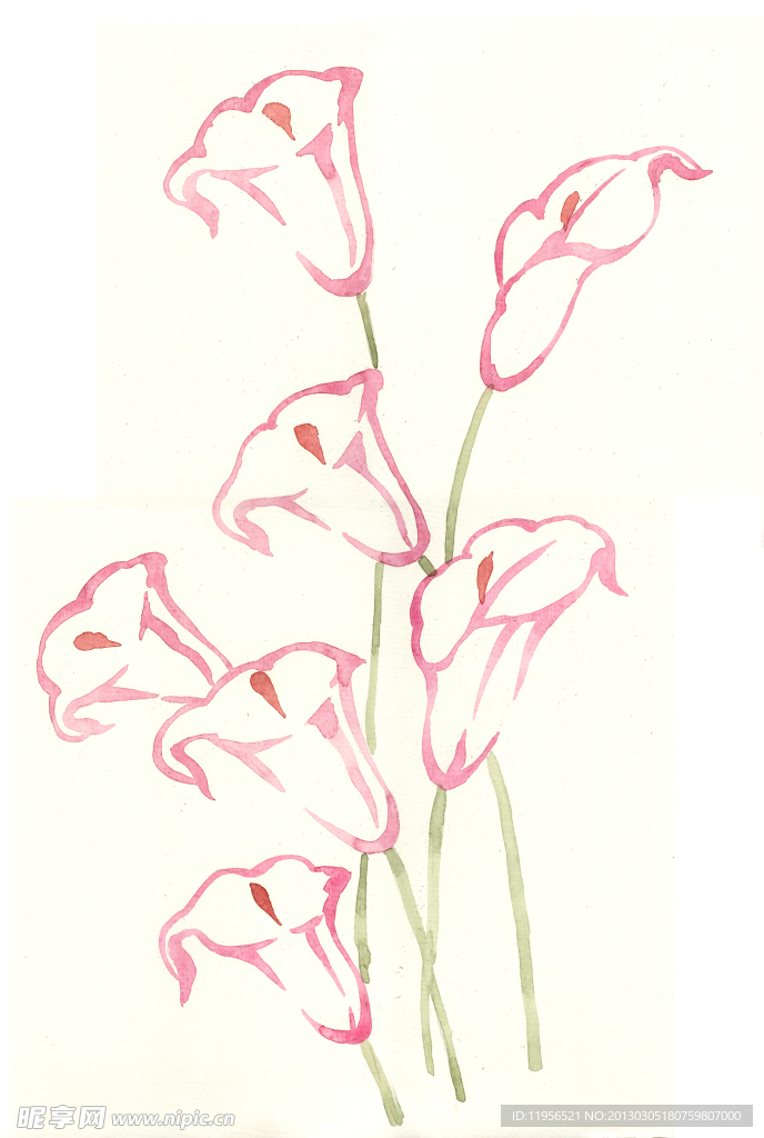 手绘花卉
