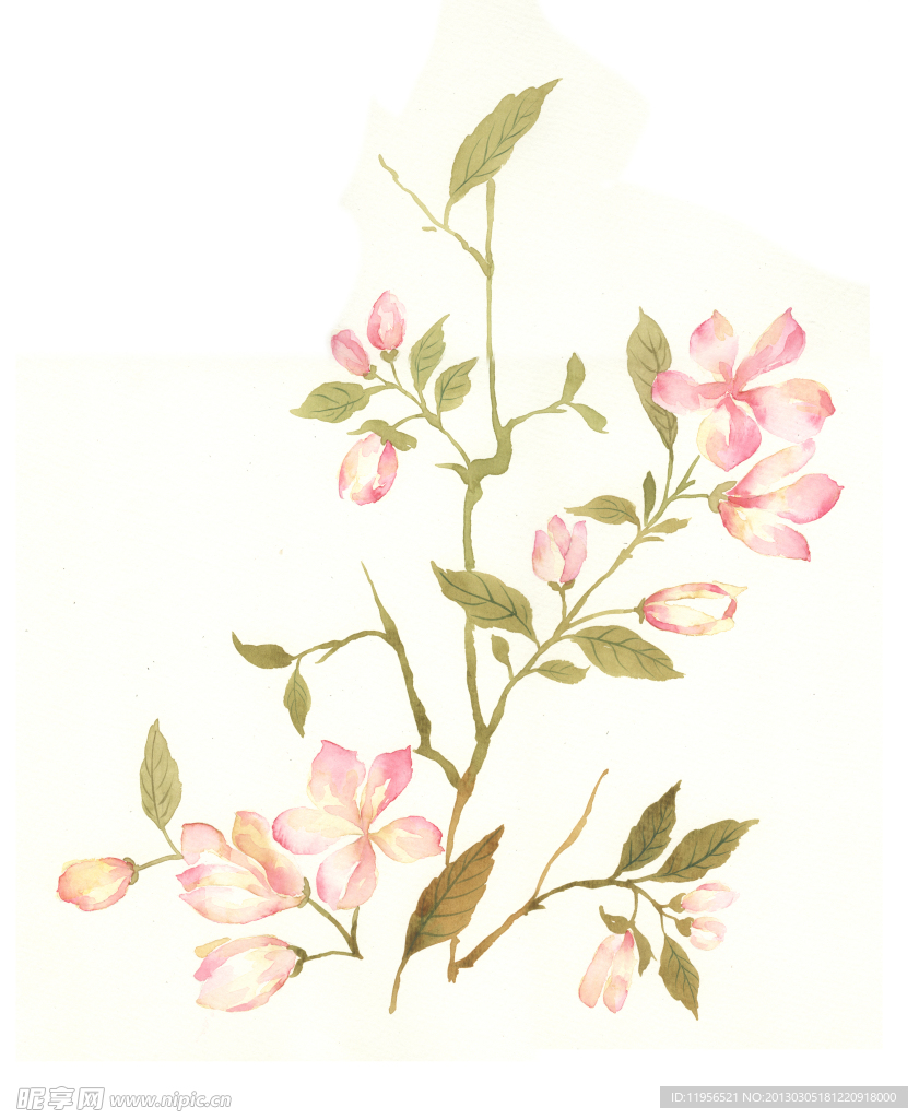 手绘花卉