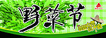 野菜节吊挂 春季 野菜 春天