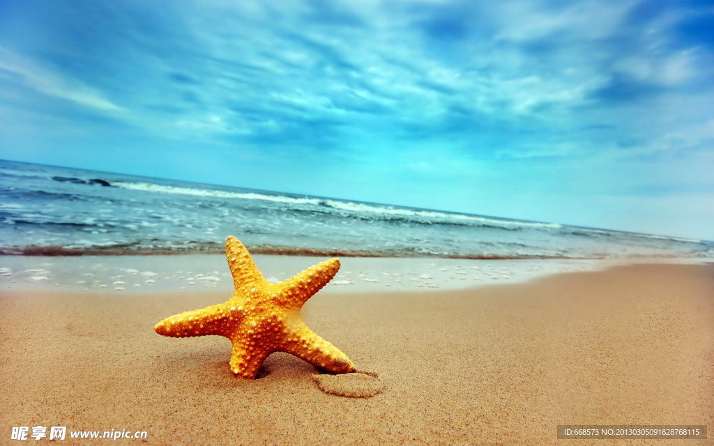 海星