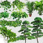 绿色植物库