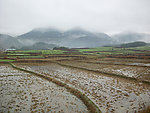 田园风景