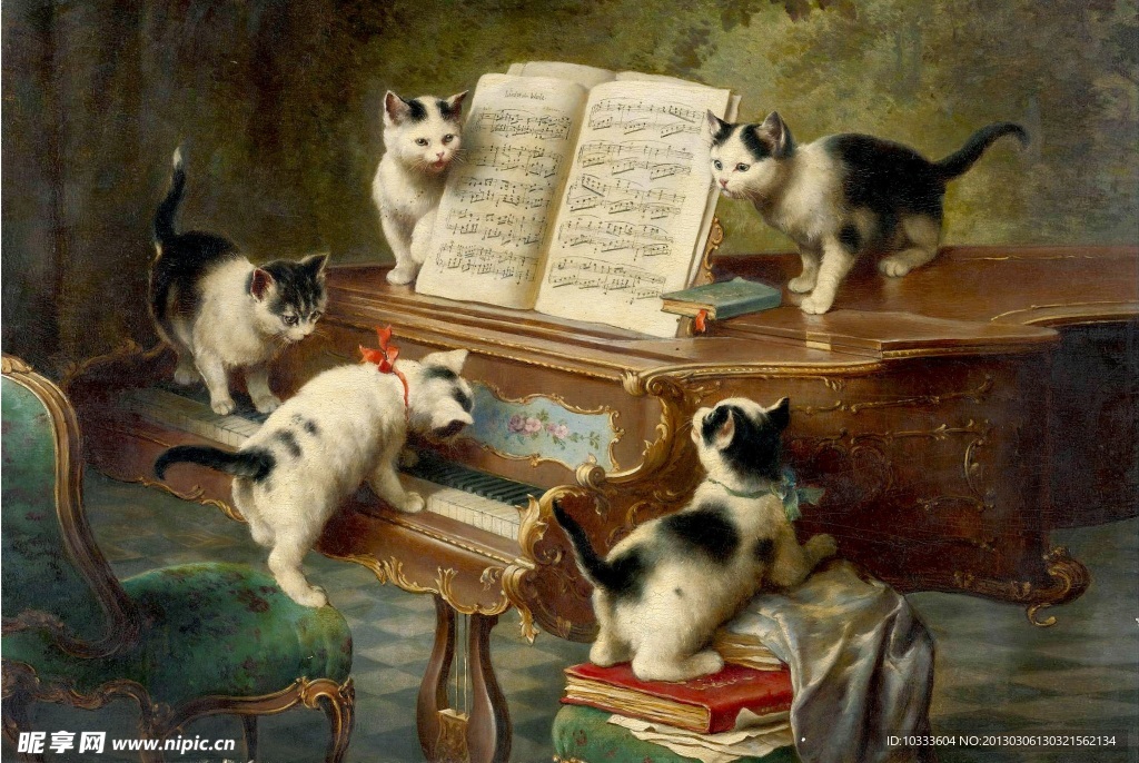 猫弹钢琴