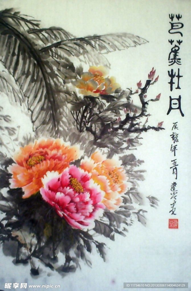 芭蕉牡丹