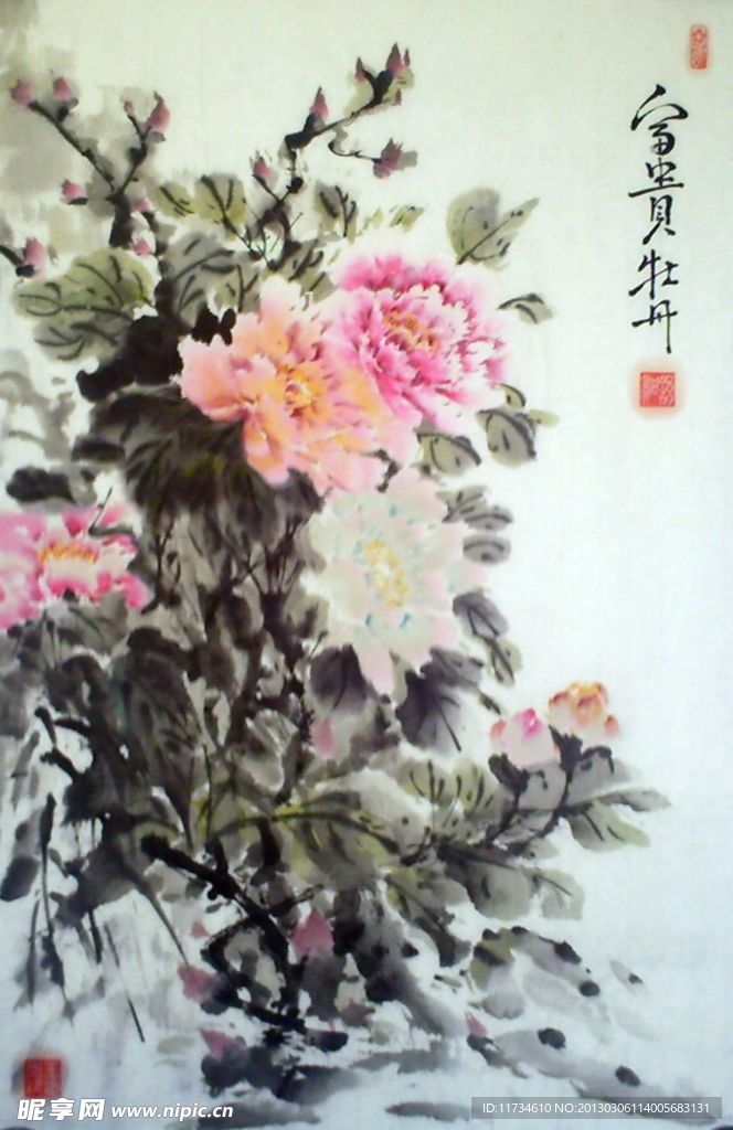富贵牡丹