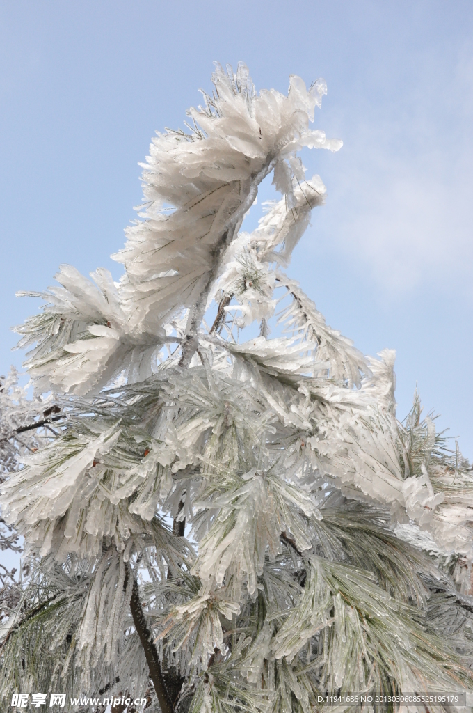 雪景特写