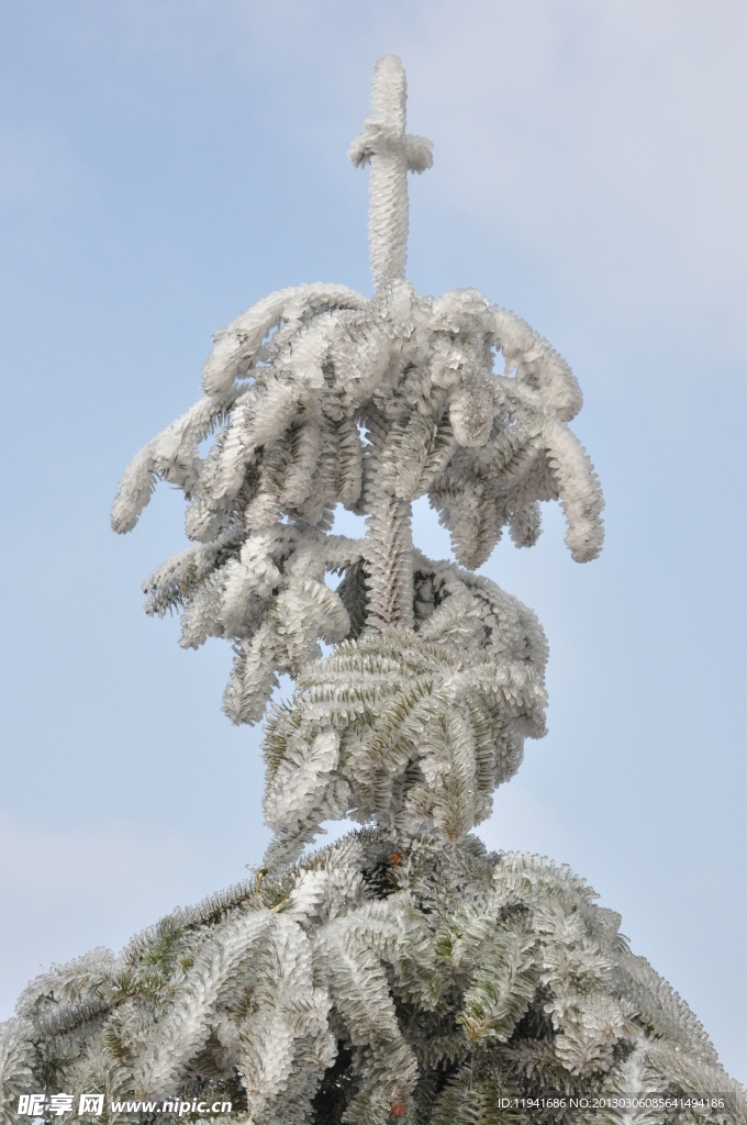 雪景特写