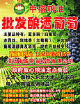 中盛粮油