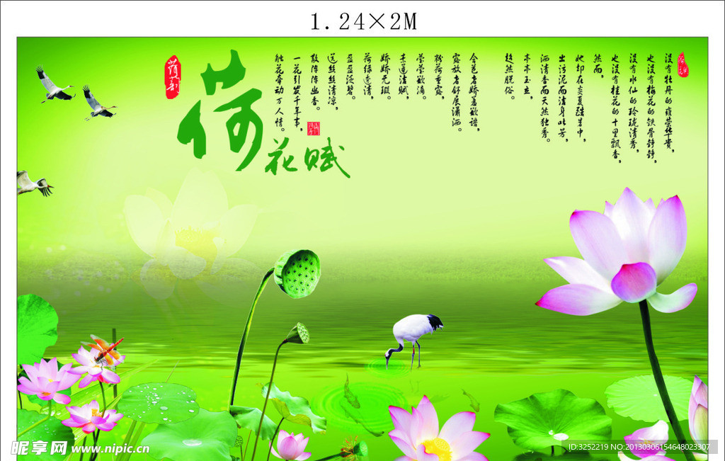 荷花