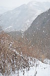 风雪山神小庙