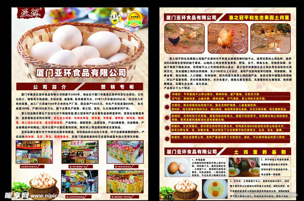 企业宣传单