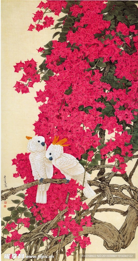 花鸟