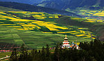 卓尔山风景