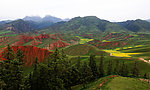 卓尔山风景