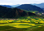 卓尔山风景