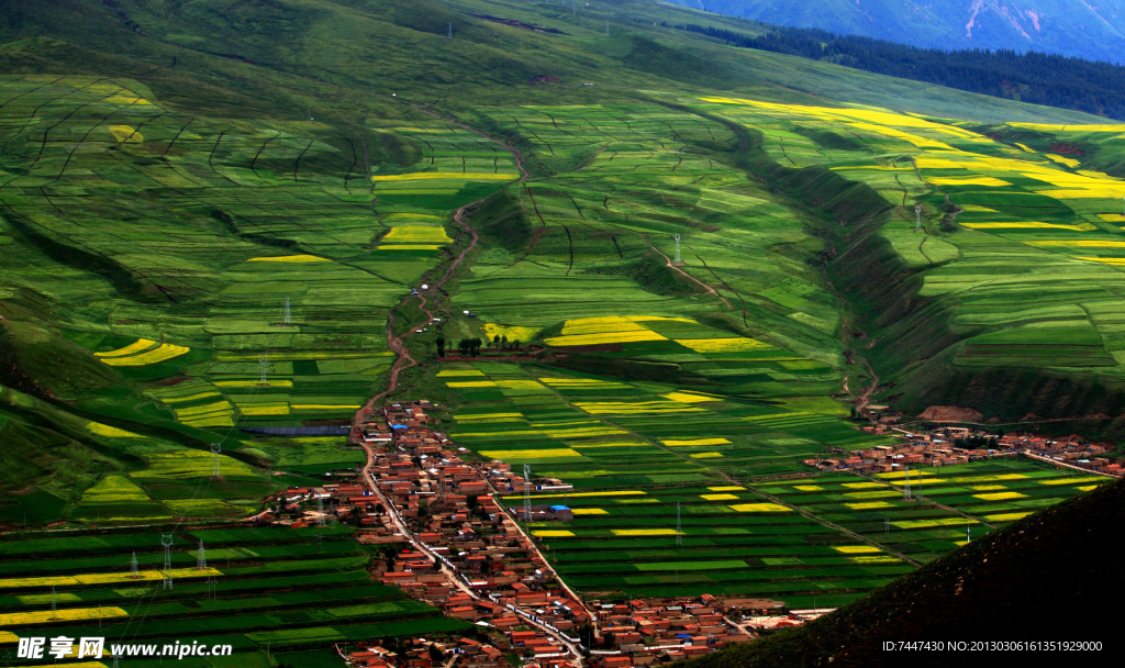 卓尔山风景