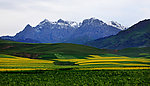 卓尔山风景