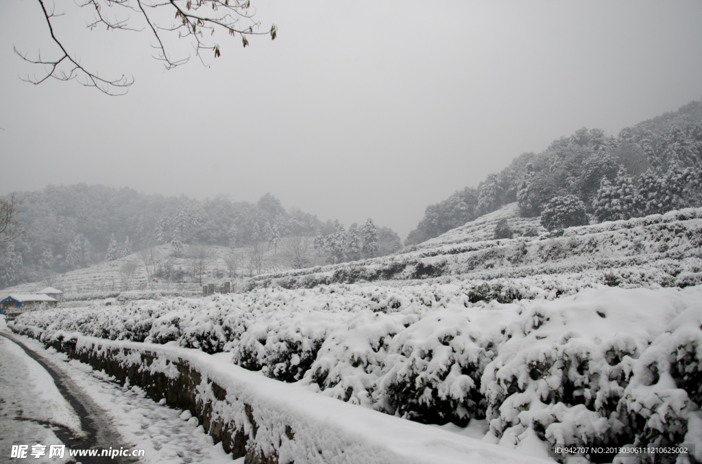 雪景