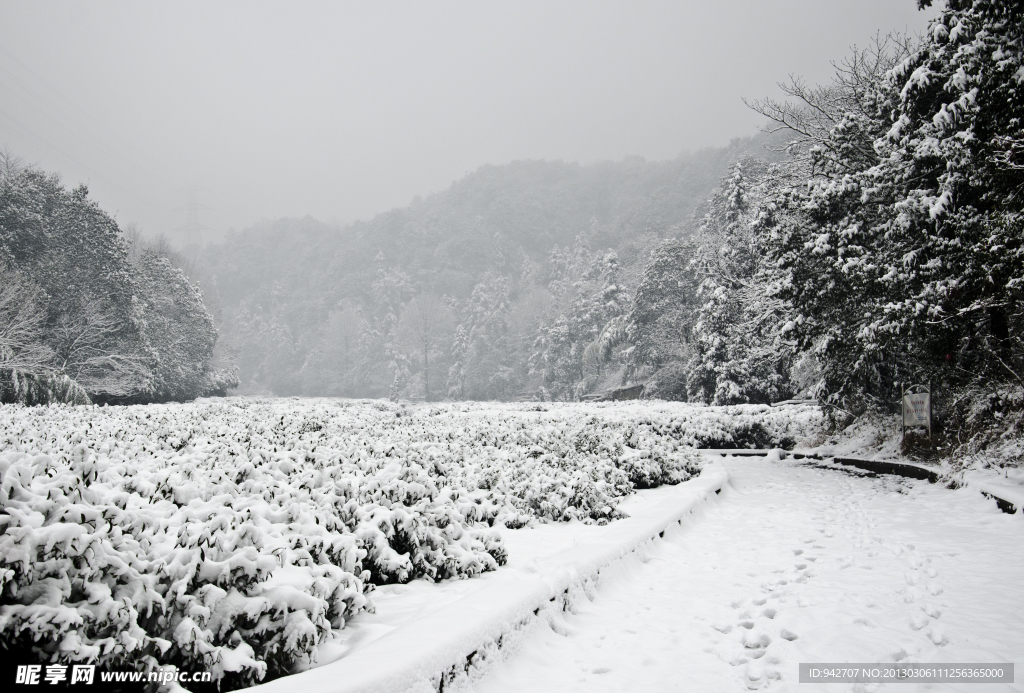 雪景