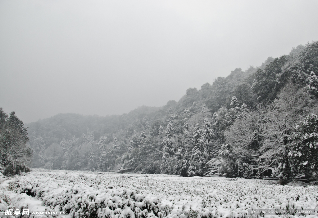 雪景