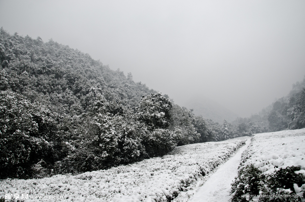 雪景