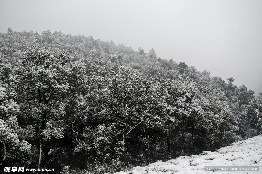 雪景