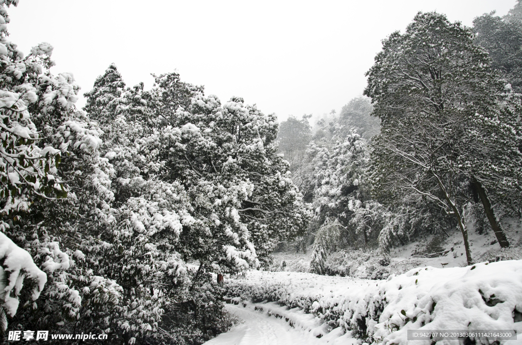 雪景