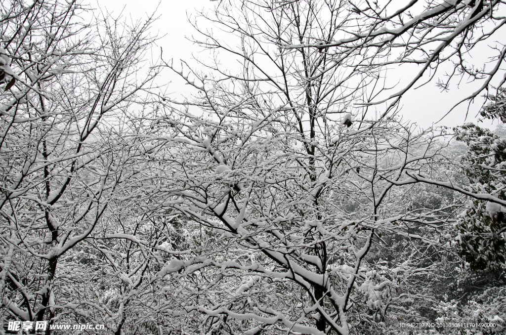 雪景