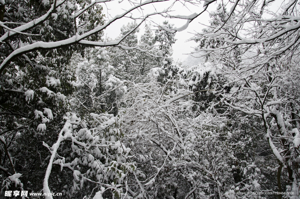 雪景