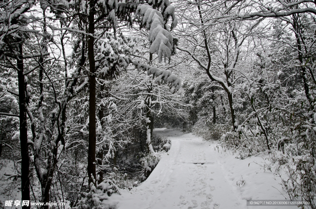 雪景