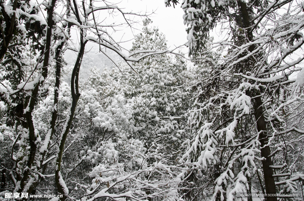 雪景