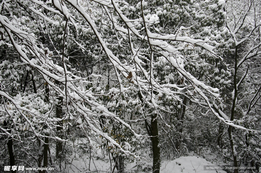 雪景