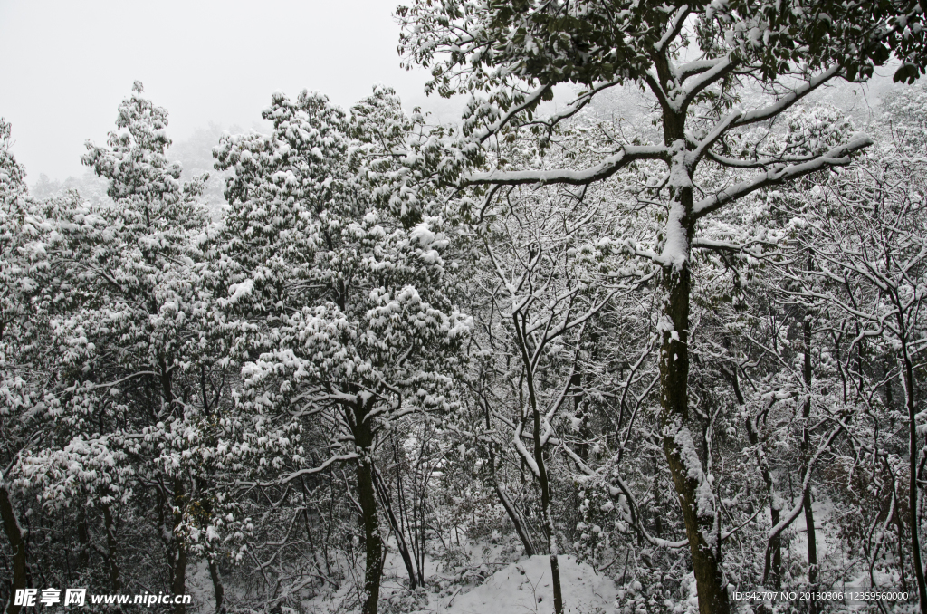 雪景