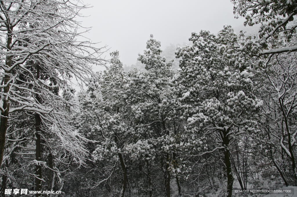 雪景