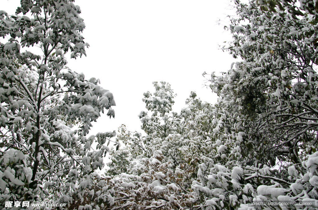 雪景