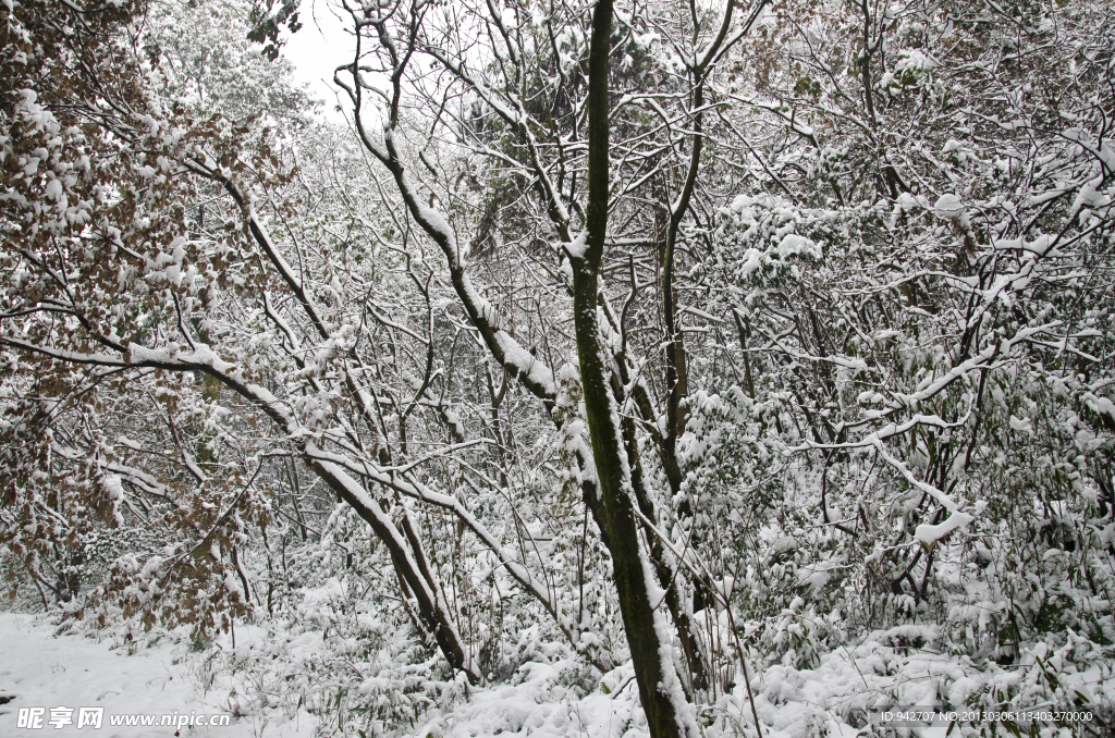 雪景