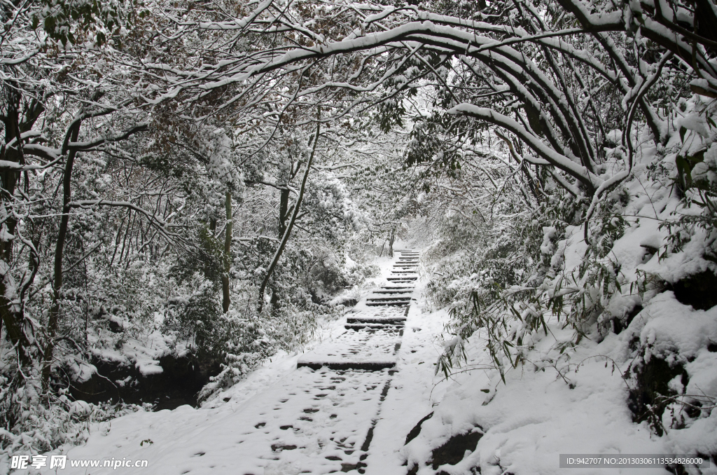 雪景