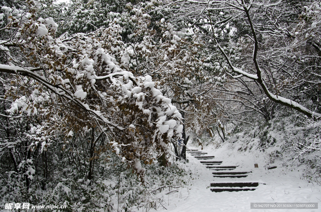雪景