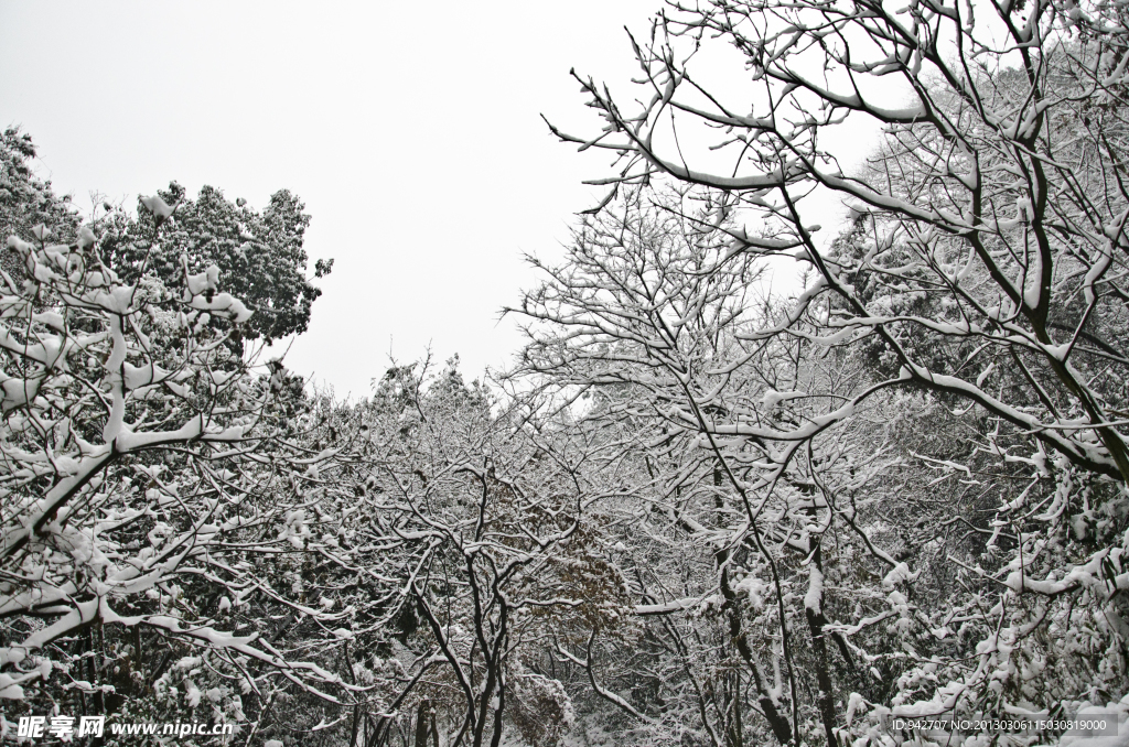 雪景